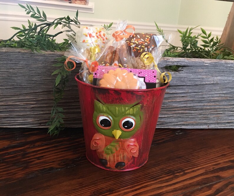 Chocolate Owl Flower Pot Gift Basket Thanksgiving Gifts Etsy