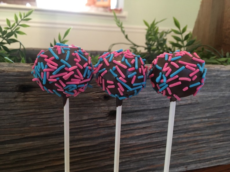 Pink and Blue Cake Pops Gender Reveal Cake Pops Baby Etsy
