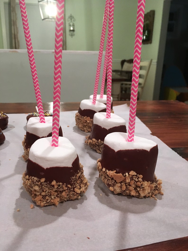S'mores Marshmallows Jumbo Marshmallow Pops Chocolate Covered