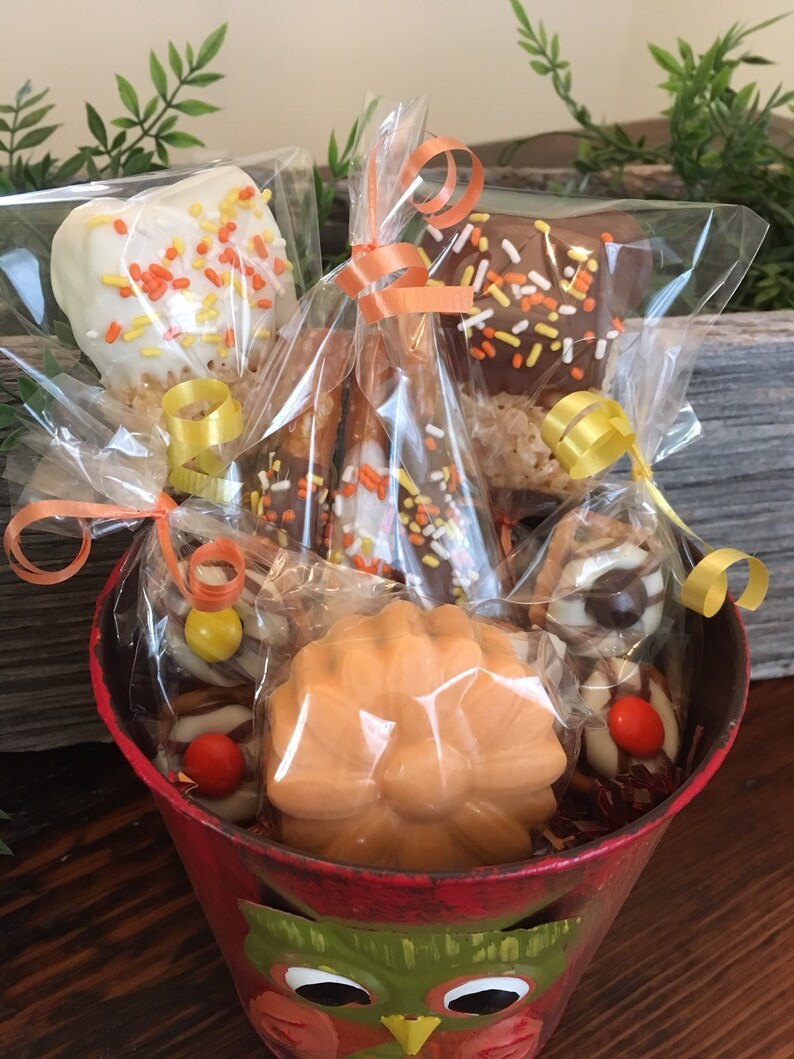 Chocolate Owl Flower Pot Gift Basket Thanksgiving Gifts Etsy