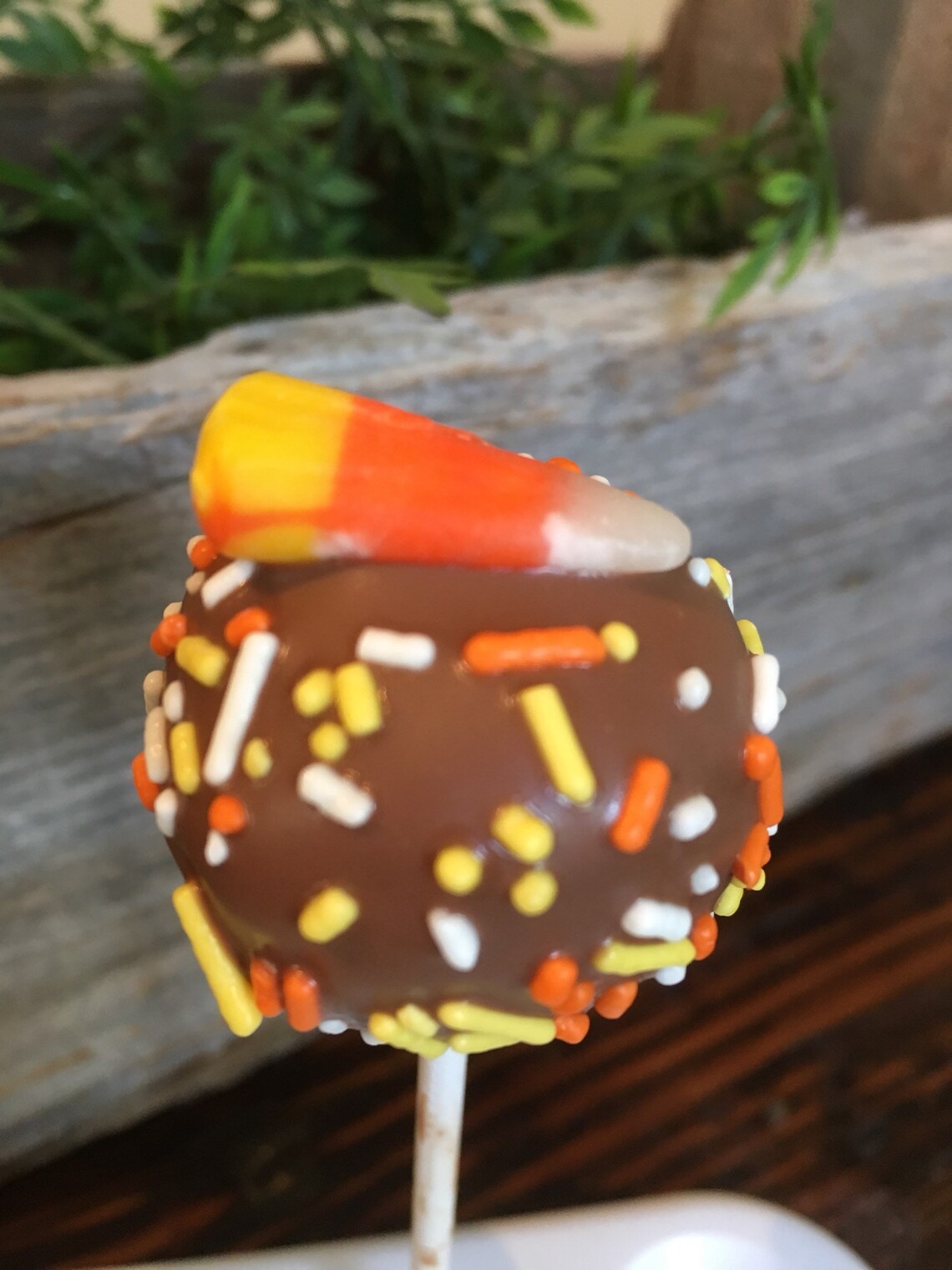 Candy Corn Cake Pops Thanksgiving Cake Pops Assorted Fall Etsy