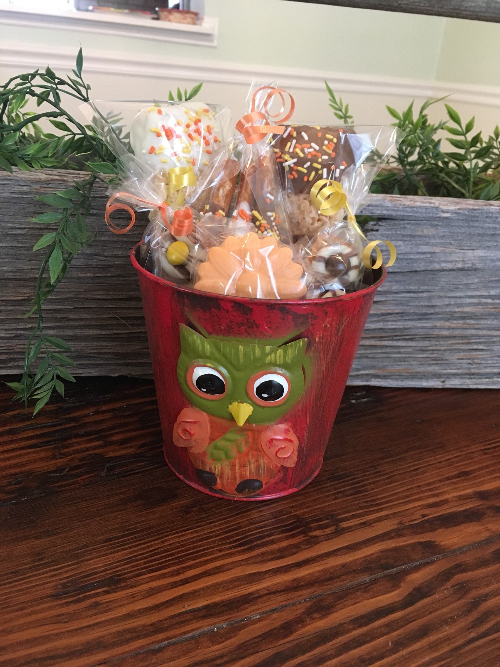 Chocolate Owl Flower Pot Gift Basket Thanksgiving Gifts Etsy