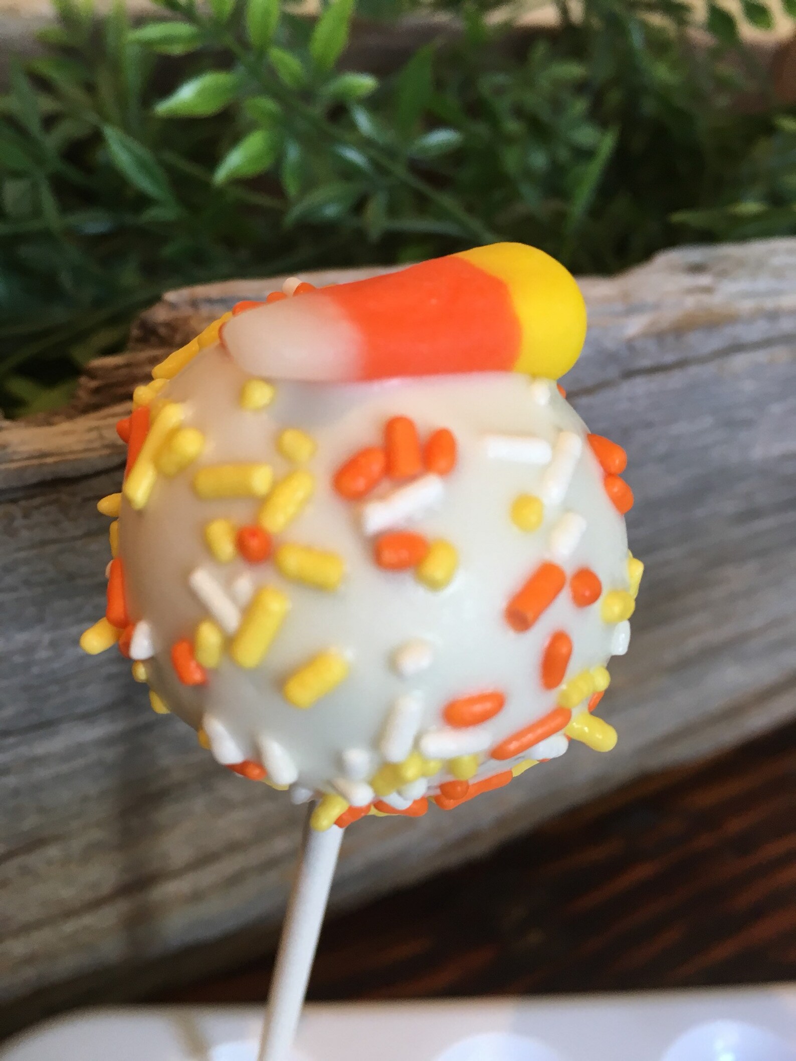 Candy Corn Cake Pops Thanksgiving Cake Pops Assorted Fall Etsy