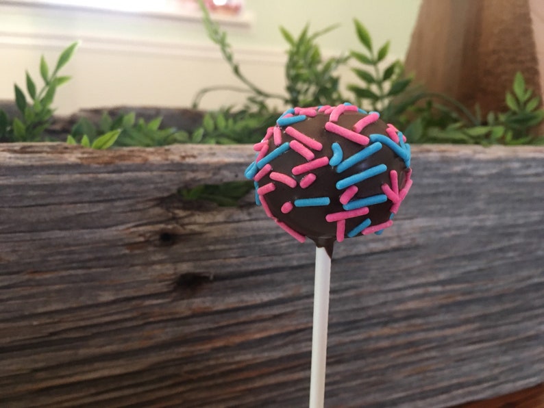 Pink and Blue Cake Pops Gender Reveal Cake Pops Baby Etsy