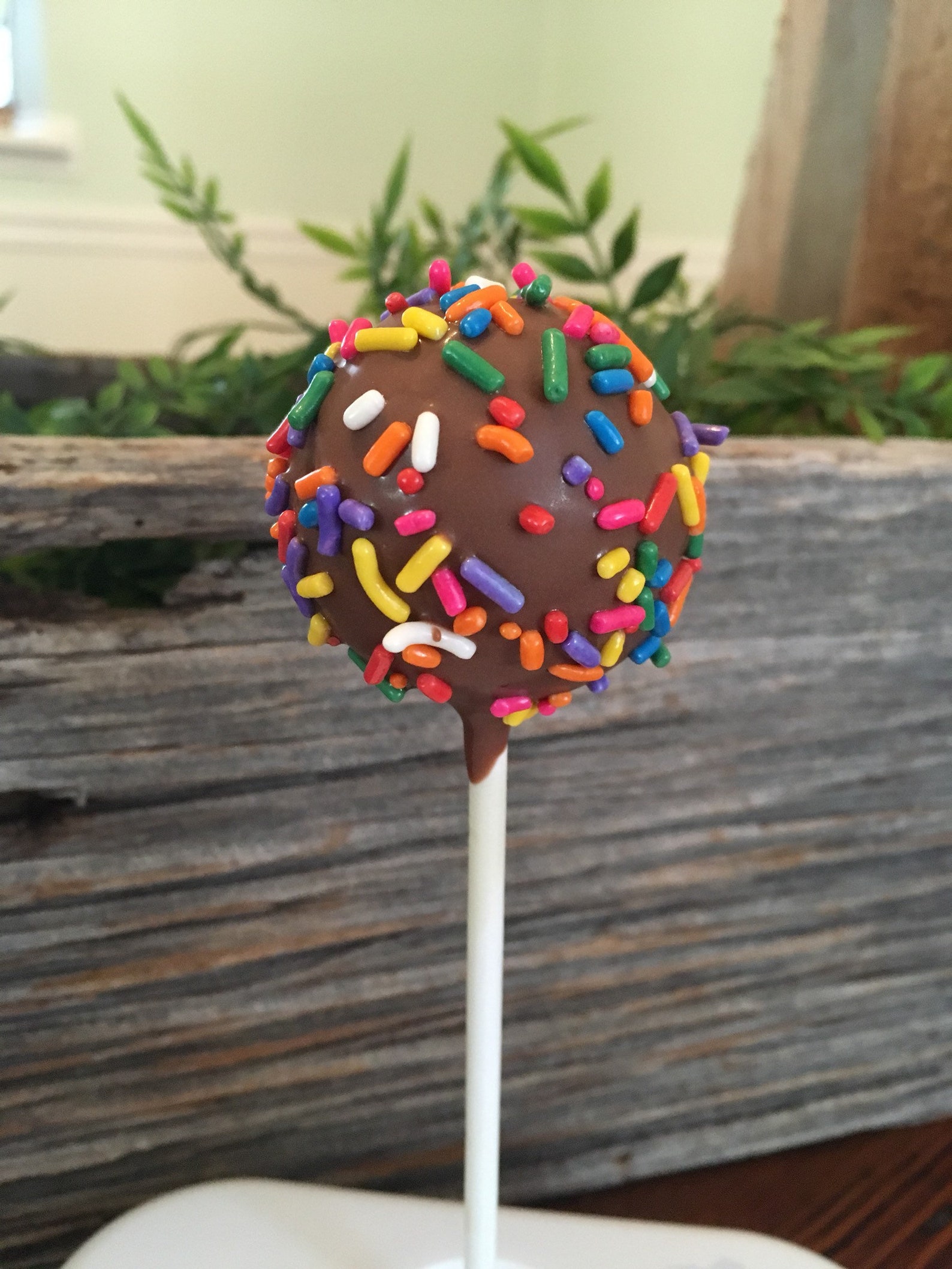 Rainbow Cake Pops Rainbow Sprinkle Cake Pops Party Favors Birthday