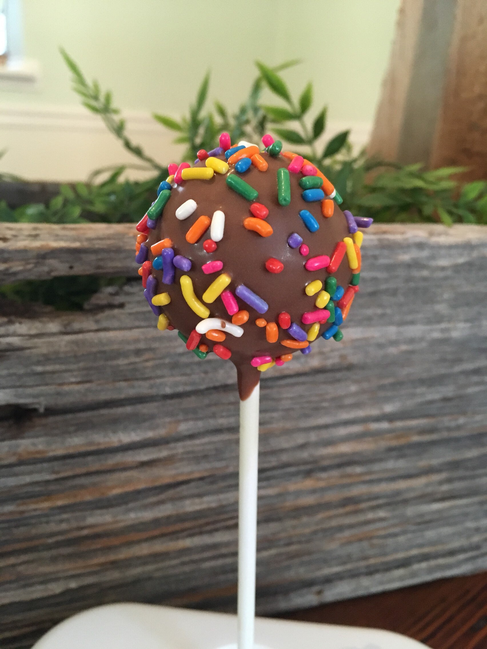 Rainbow Cake Pops Rainbow Sprinkle Cake Pops Party Favors - Etsy