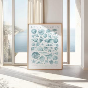 Lámina de conchas marinas con texto en francés, decoración de pared costera, póster con ilustración de conchas de playa, obra de arte con temática náutica oceánica