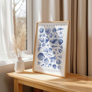 Lámina de conchas marinas con texto en francés, decoración de pared costera, póster con ilustración de conchas de playa, obra de arte con temática náutica oceánica