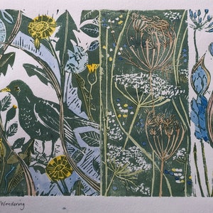Wildflower wondering