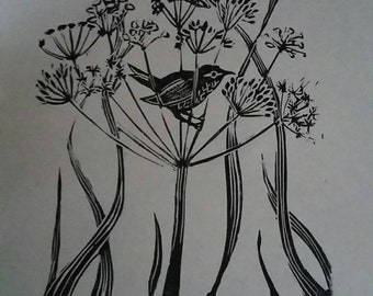 Wren sitting in cow parsley.