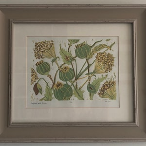 Peut inclure: Impression encadrée intitulée "Poppies and Blooms" présentant une illustration botanique. L'œuvre d'art présente des capsules de graines vertes et des grappes de fleurs jaunes sur fond blanc. L'impression est dans un cadre gris.