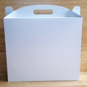 May include: A white cardboard box with a handle on the top. The box is empty and has a smooth surface.