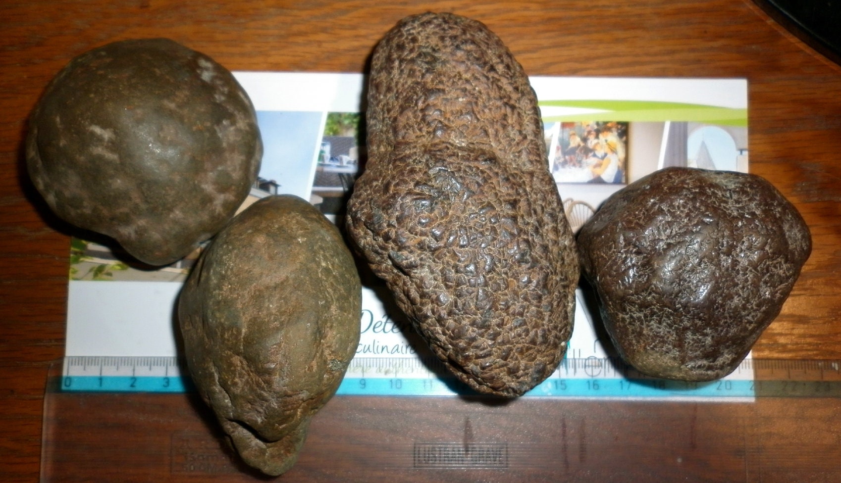 Marcassite Pas de Calais 2 Kg en 3 ou 4 Nodules