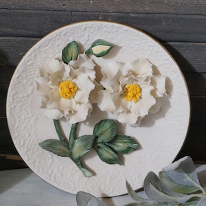 white Roses of Capodimonte Fine Bisque vintage collectible Porcelain Plate | Limited Edition Franklin Mint Heirloom Collectibles