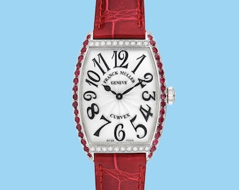 Franck Muller Master of Complication Curvex Watch SS w/Diamonds&Rubies