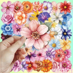 Pegatinas de flores de acuarela – 50 diseños | Pegatinas transparentes de PET, 4-5 cm, motivos de rosas, decoración para agenda, scrapbooking, portátil, bricolaje