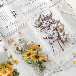 Grandes adesivos transparentes da natureza – algodão, margaridas, borboletas, cogumelos, folhas e rosas