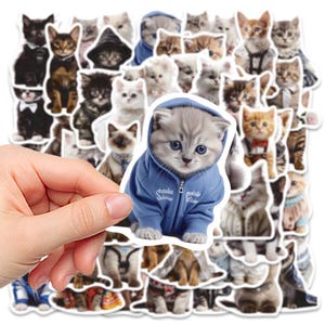 Süße Katzenbaby Sticker – 50 Motive | Vinyl, matt, 4-6 cm, selbstklebend, wasserfest, Katzenaufkleber für DIY, Scrapbook & Geschenk