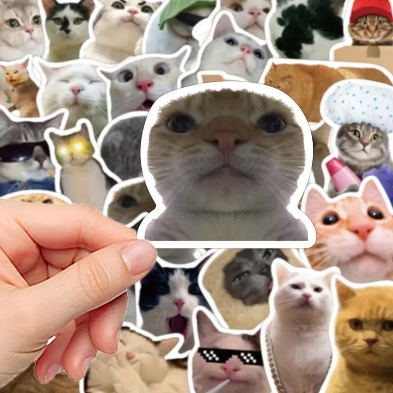 Op de afbeelding: Een hand die een sticker vasthoudt van een kat met een verbaasde uitdrukking, omringd door verschillende kattenstickers. De stickers tonen katten met verschillende uitdrukkingen en accessoires, wat een speels en humoristisch thema cre&euml;ert. De kattenstickers zijn in verschillende kleuren en poses.