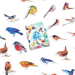Vogelstickers, stickerset "Kleurrijke Vogels" met 45 ministickers – stickers, briefpapier, dagboek, dagboek, fotoalbum, vogel