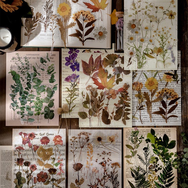 Große transparente Pflanzen und Blumen Sticker – Gänseblümchen, Blätter, Farne, Eukalyptus und Pflanzen