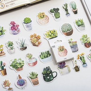 May include: A sheet of colourful stickers featuring various potted succulents and cacti. The stickers are printed in a watercolour style and have a white background.
