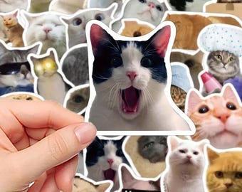Adesivi divertenti con gatti – 50 meme di gatti stravaganti | Set di adesivi, vinile, 4-6 cm, opaco, decorazione fai da te per laptop, diario e scrapbooking
