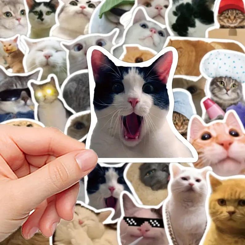 Op de afbeelding: Een sticker met een zwart-witte kat met open mond, omringd door diverse stickers met katten als thema. De sticker wordt door een hand vastgehouden, met andere kattenstickers op de achtergrond.