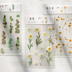 Adesivos Transparentes, Plantas e Flores – Adesivos, Papelaria, Diário, Agenda, Álbum de Fotos, Planta, Flor