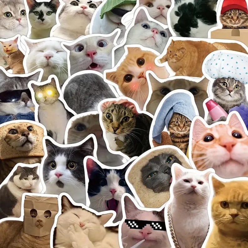 Op de afbeelding: Een verzameling kattenstickers met verschillende uitdrukkingen en poses. De stickers tonen katten met zonnebrillen, hoeden en andere accessoires. De katten hebben verschillende kleuren, waaronder oranje, wit en grijs. De stickers zijn uitgesneden met witte randen.