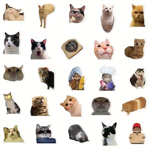 Op de afbeelding: Een verzameling kat-thema stickers in verschillende poses en uitdrukkingen. De stickers tonen katten met zonnebrillen, in brood, met hoeden en meer. De stickers zijn in verschillende kleuren en stijlen, geschikt voor het decoreren van laptops, notitieboeken of andere items.