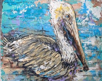 Pretty Pelican