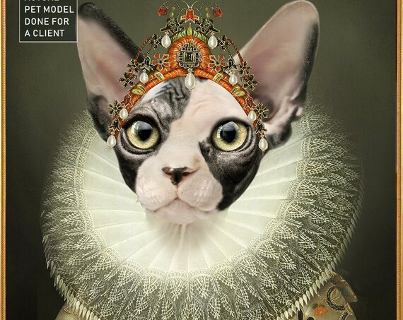 Aristocrat cat, Cat lover, Royal pet portrait, Renaissance pet portraits, Regal cat, Medieval pet portrait, Custom pet portrait by janovelty