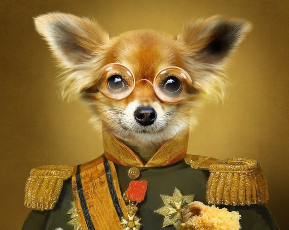 Military Dog Portrait, 18th Century Military, Medieval Painting, Funny Pet, Gift for her, Gift for him, Personalized gift for girlfriend