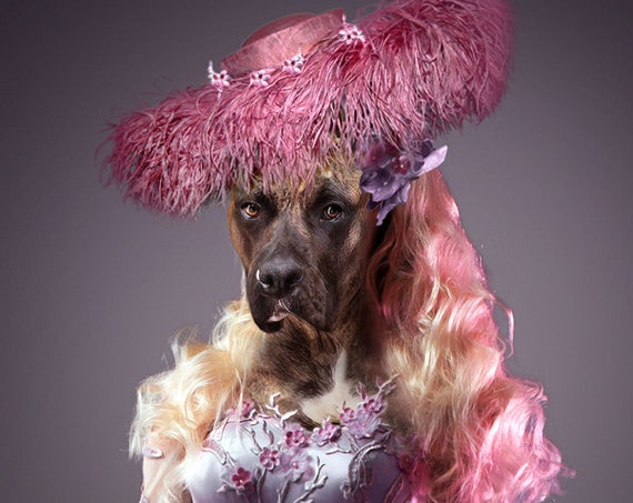 Glamour girl, Fashion icon, Personalized gift, Custom gift, Royal Pet, Regal pet portraits, Funny gift, Dog Portrait, by JAnovelty