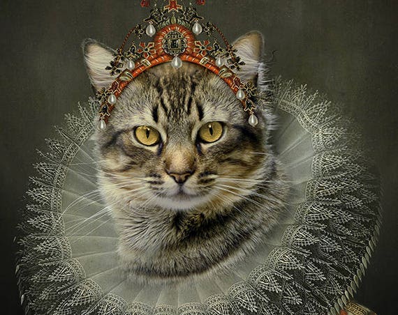 Aristocrat cat, Cat lover, Royal pet portrait, Renaissance pet portraits, Regal cat, Medieval pet portrait, Custom pet portrait by janovelty