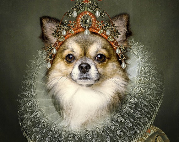 Queen Custom Pet Portrait, Royal Pet, Pet portrait, Dog wall art, Regal pet portraits, Funny gift, Dog Portrait, Medieval pet by JAnovelty