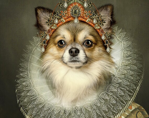 Your dog as Queen Isabela of Spain, Digital Custom Pet Portrait from photo, Medieval Wall Art