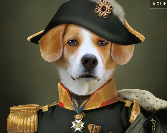 Your pet in Military Uniform | Custom pet portrait | Unisex | Army Historical Costume | Personalized Gift