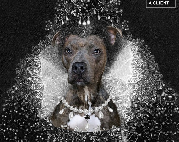 Elizabeth I of England, Custom Pet Portraits, Medieval pet portrait, Renaissance dog portraits, Historical queen pet Funny gift by JAnovelty