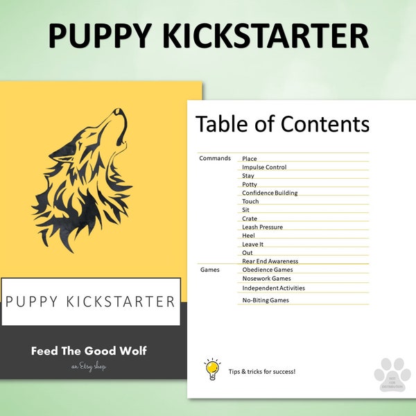 Puppy Kickstarter Package | Puppy Essential Skills Training