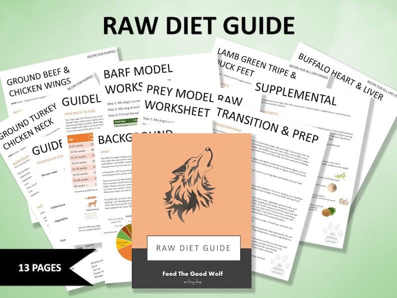 Printable Dog Raw Food Guide Raw Diet for Dogs BARF & PREY Model Etsy