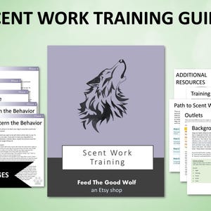 Trainingsgids geurwerk | Neuswerk stap voor stap