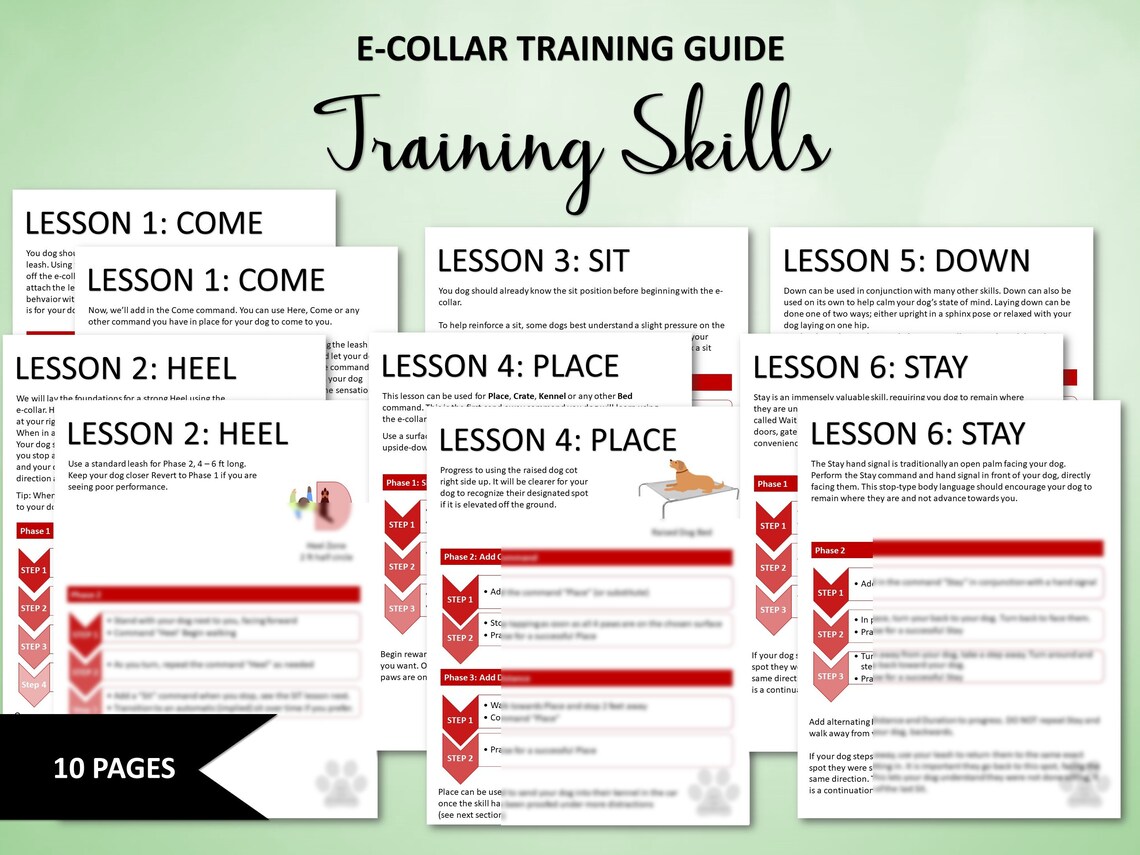 Printable Ecollar Training Guide Remote Collar for Dogs Etsy
