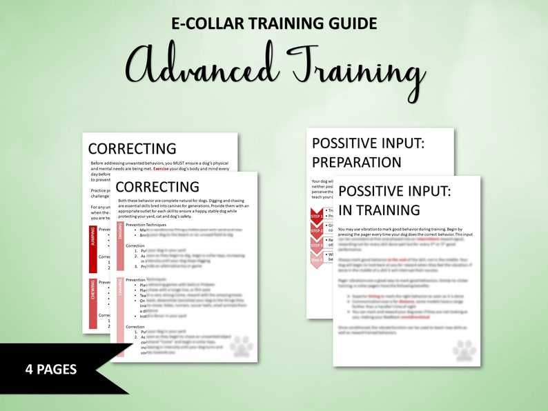 Printable Ecollar Training Guide Remote Collar for Dogs Etsy