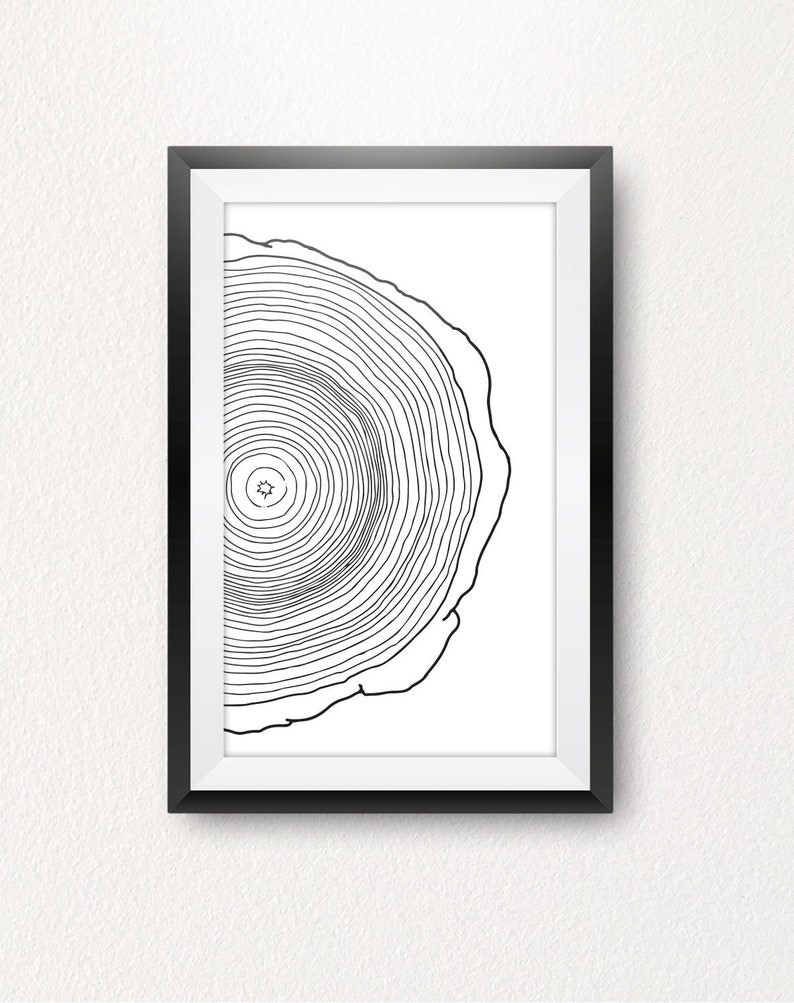 Puede incluir: Impresi&oacute;n en blanco y negro de arte de l&iacute;nea de una secci&oacute;n transversal de un anillo de &aacute;rbol en un marco negro. La impresi&oacute;n presenta una ilustraci&oacute;n detallada de los anillos, mostrando el crecimiento del &aacute;rbol a lo largo del tiempo.