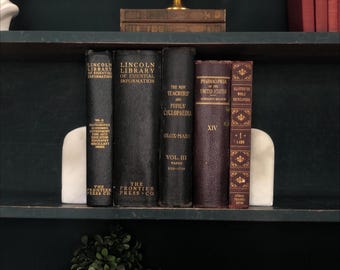 Classic Books by the Foot:  Vintage Black Decorative Book Bundle Antique Reference Books Dark Academia Library Decor