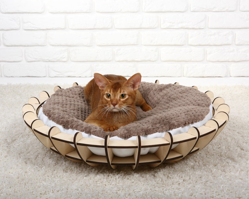 Furniture Row Credit Card Contact Number : Designer Bed - Joy Furniture