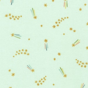 Cozy Cotton Flannel - Over the Moon Sea Mist SRKF-21896-462 Robert Kaufman Fabrics