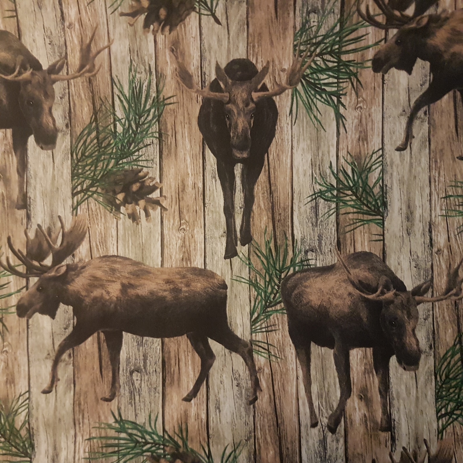 Moose Fabric Wildlife Fabric Moose on the Loose Premium Etsy